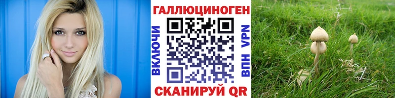 сколько стоит  Канск  Галлюциногенные грибы Magic Shrooms 