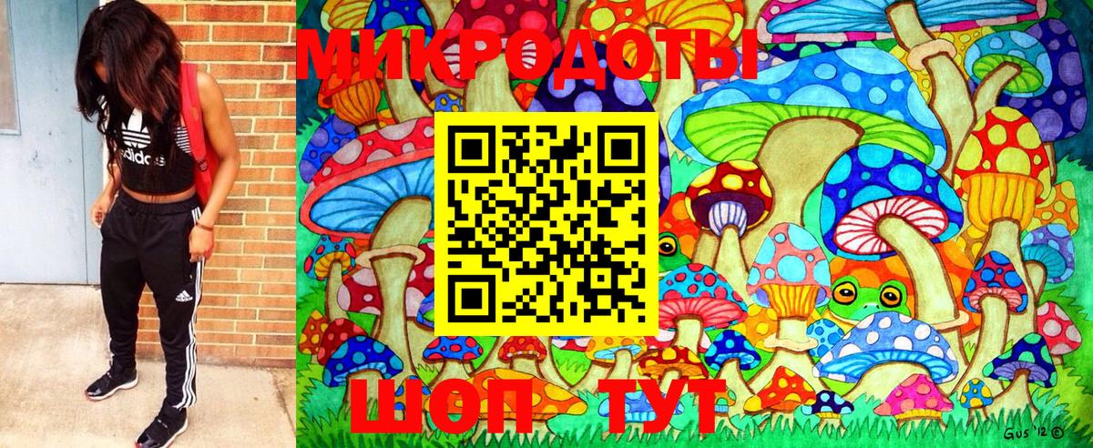 Галлюциногенные грибы Cubensis  Вход с VPN  где купить наркотик  Канск 