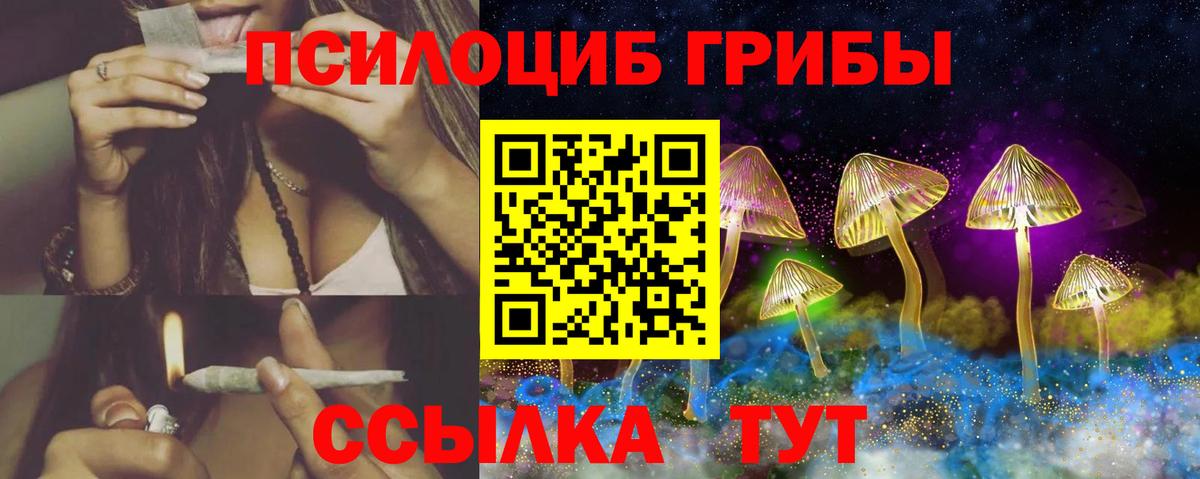 Псилоцибиновые грибы Cubensis Канск